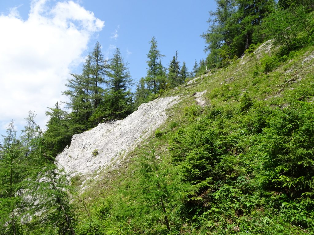 Difficult, slippery and exposed part of the abandoned trail