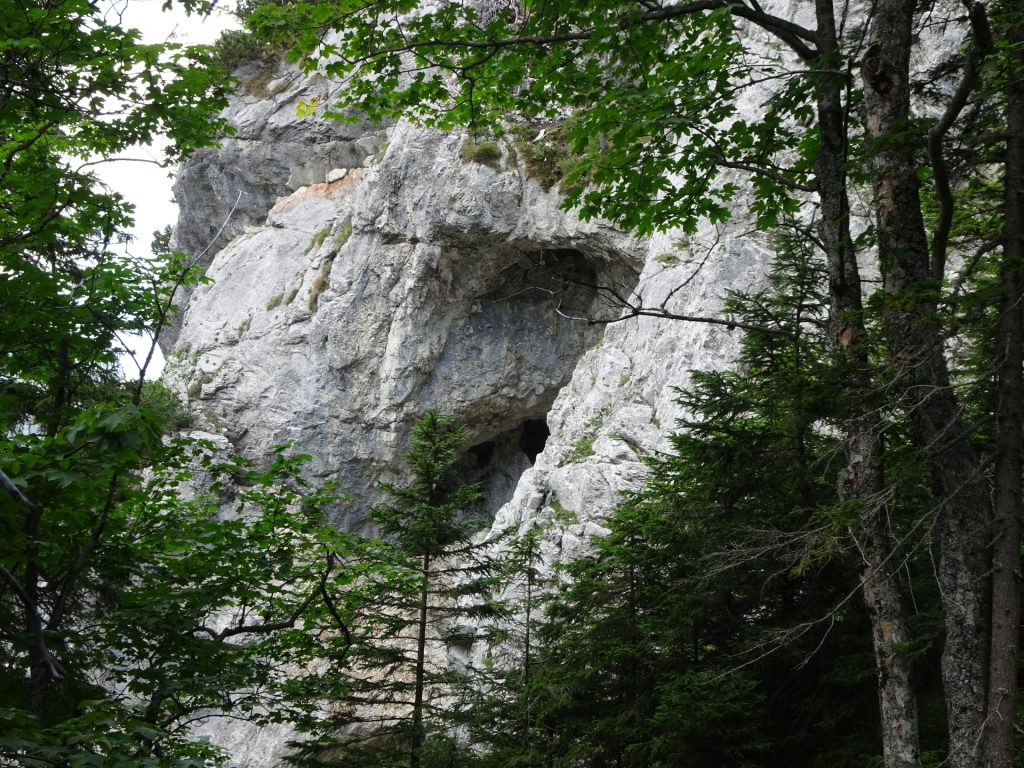 Caves seen from the trail