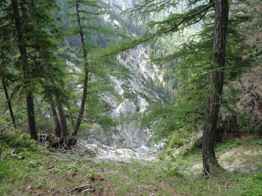 Looking down into the "Fuchsgraben"