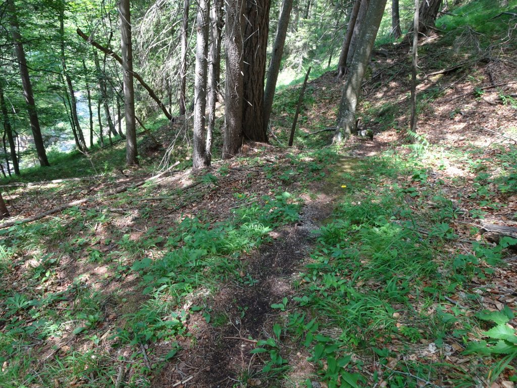 Trail downwards to the river