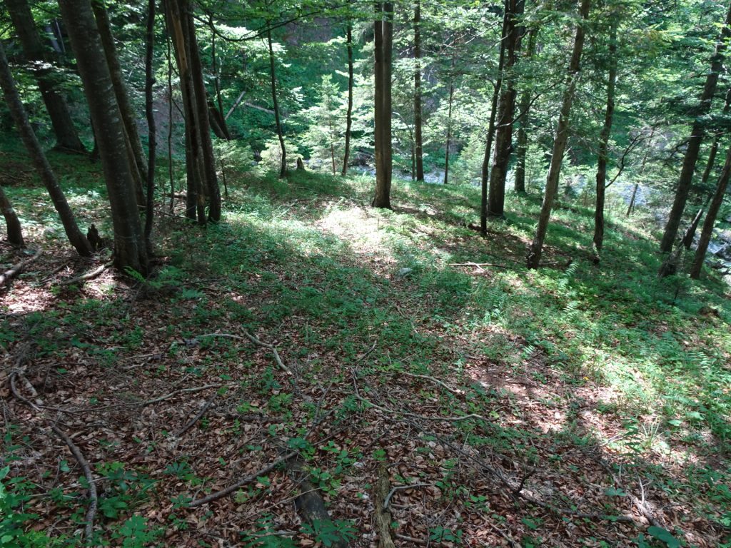 Trail downwards to the river