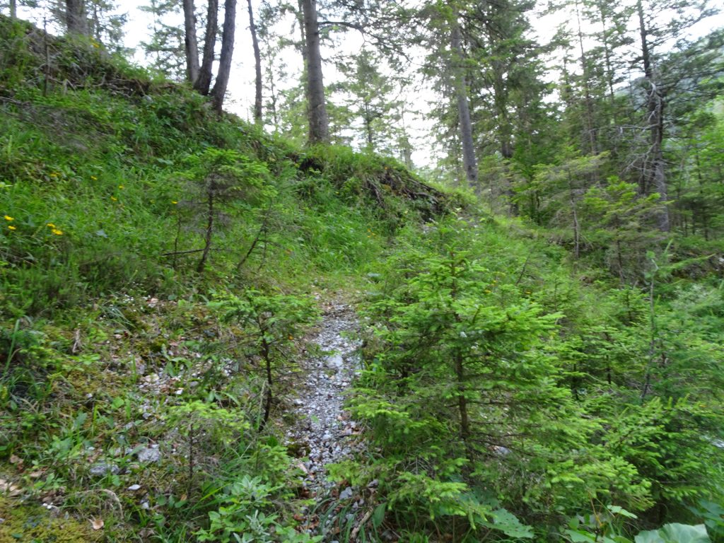 Follow the trail after crossing the river