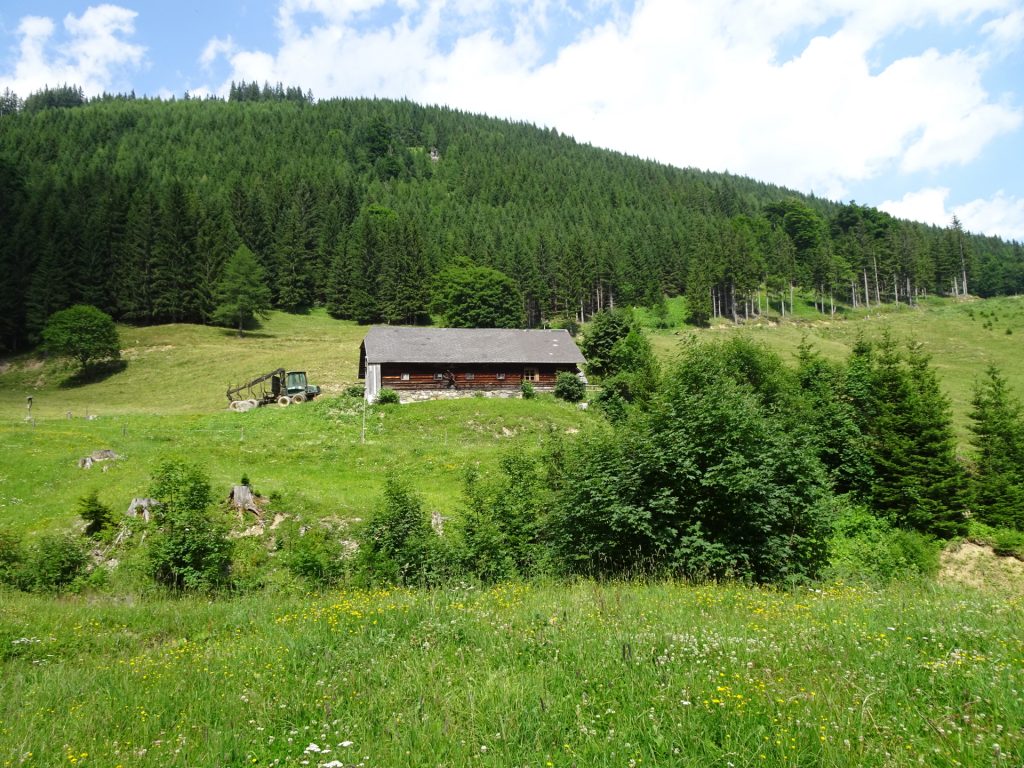 Approaching the "Hainzleralm"