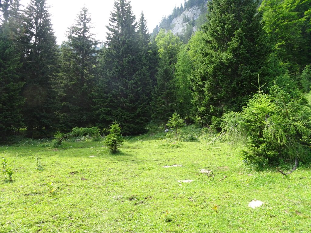 On the trail towards "Häuslalm"