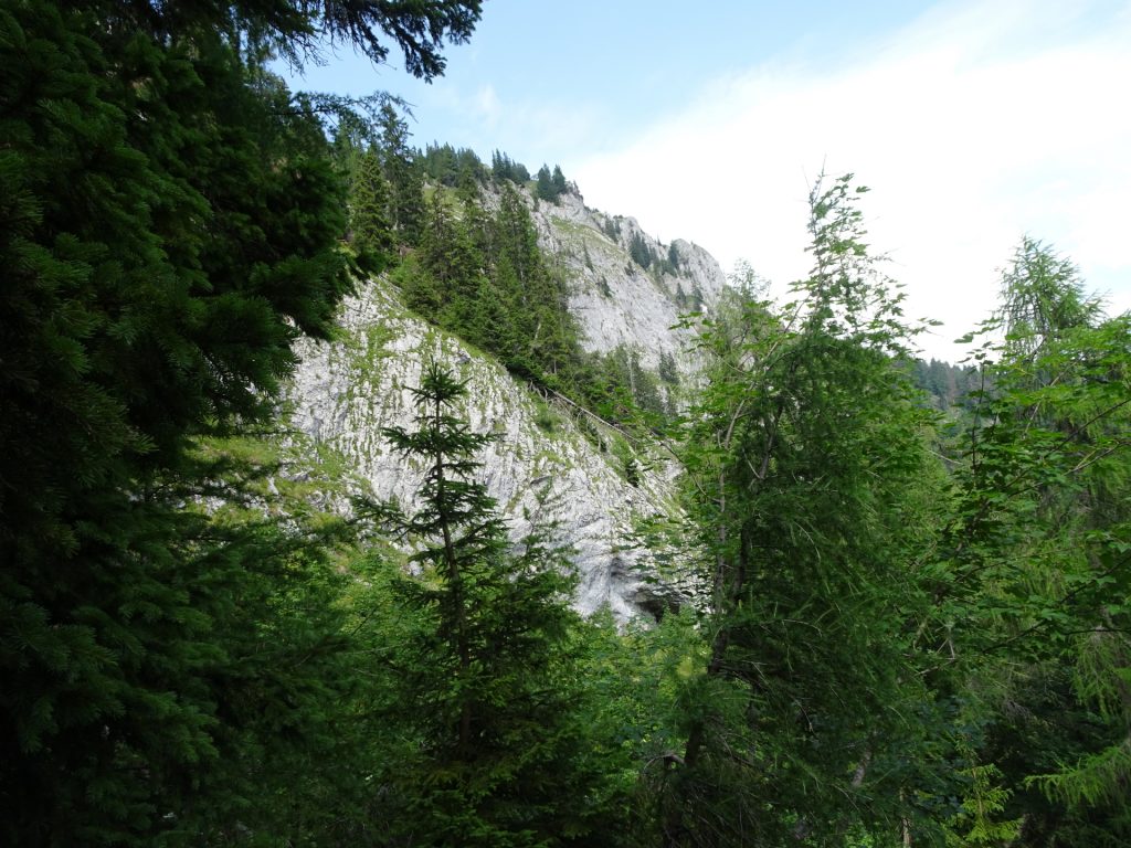 View from the trail towards "Häuslalm"