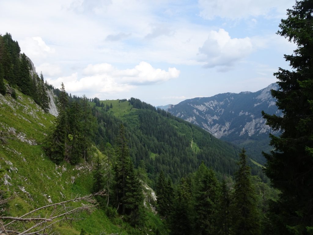 View from the trail towards "Häuslalm"