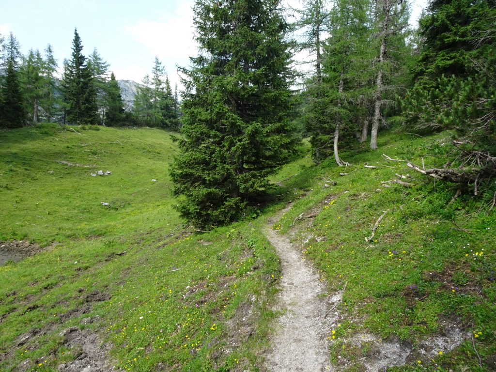 On the trail towards "Häuslalm"