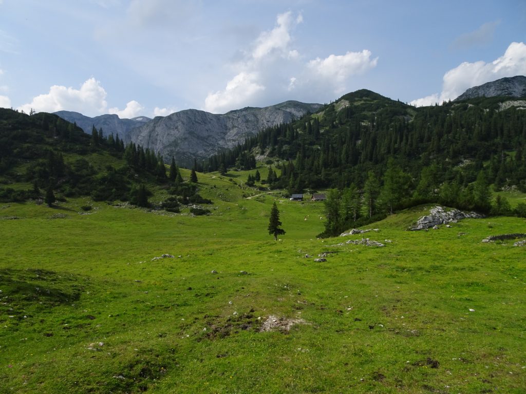 At the "Sackwiesenalm"