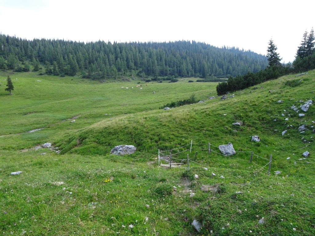 Cross the meadow here (back towards "Tragöß")