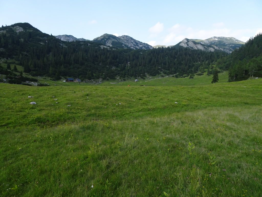 View back to "Sackwiesenalm"