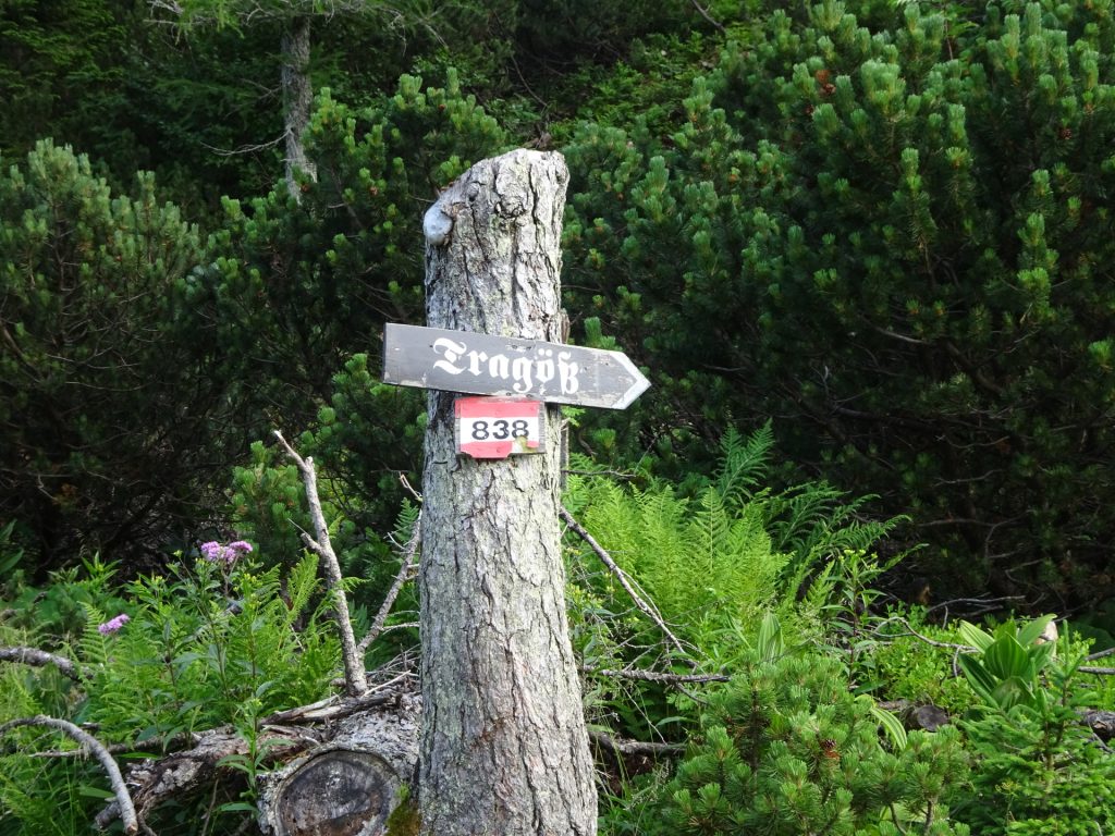 Follow trail 838 towards "Tragöß"