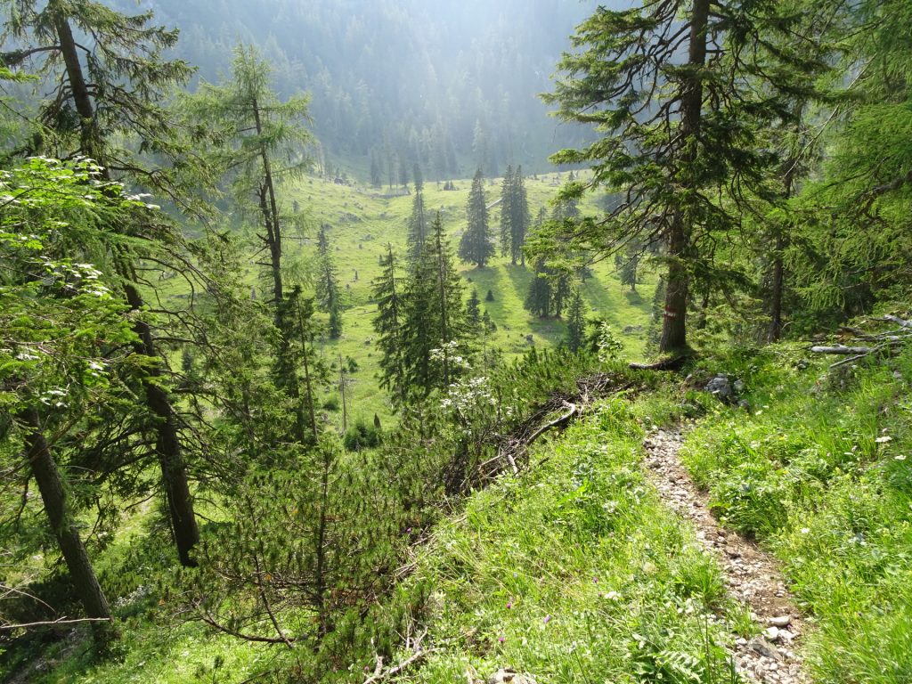 On the trail towards "Plotschboden"