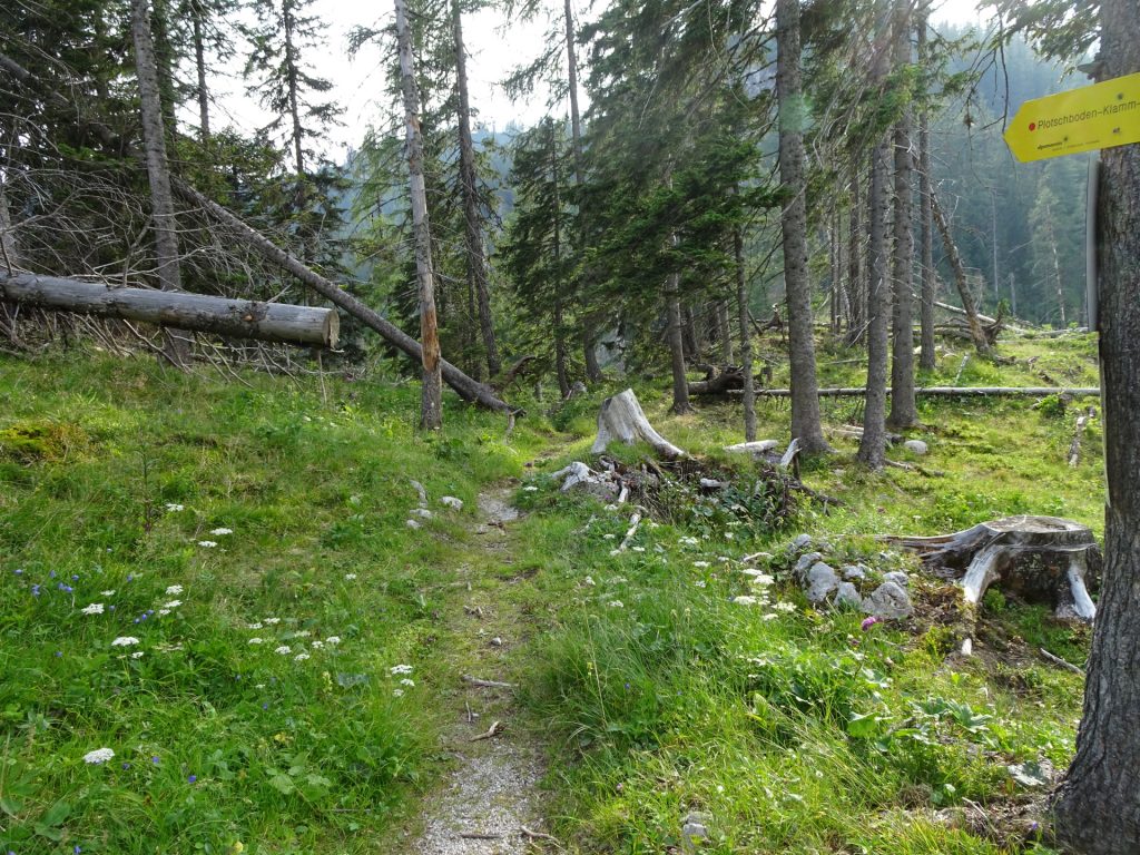 Towards the "Klamm"