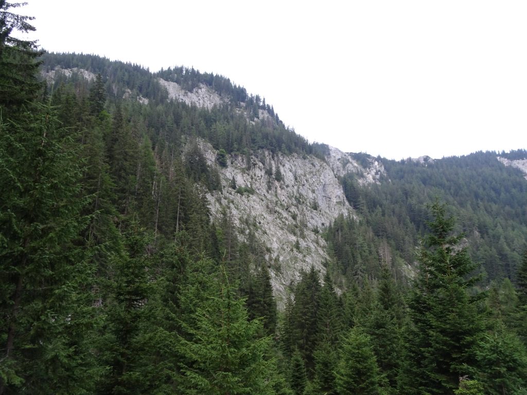 View back from the trail towards "Klammboden"