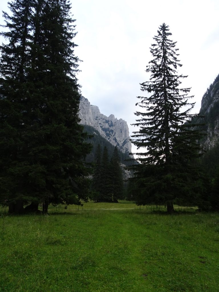 Hiking through the "Klammboden"