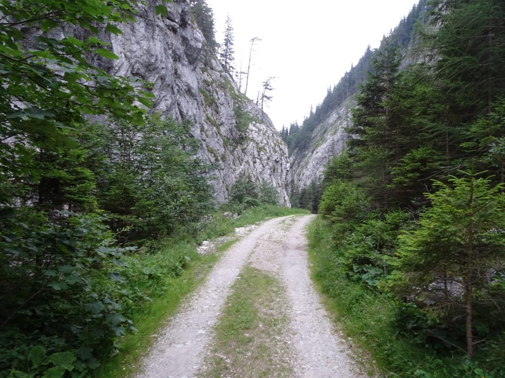 Street back to "Klammhöhe" (and further to "Tragöß")