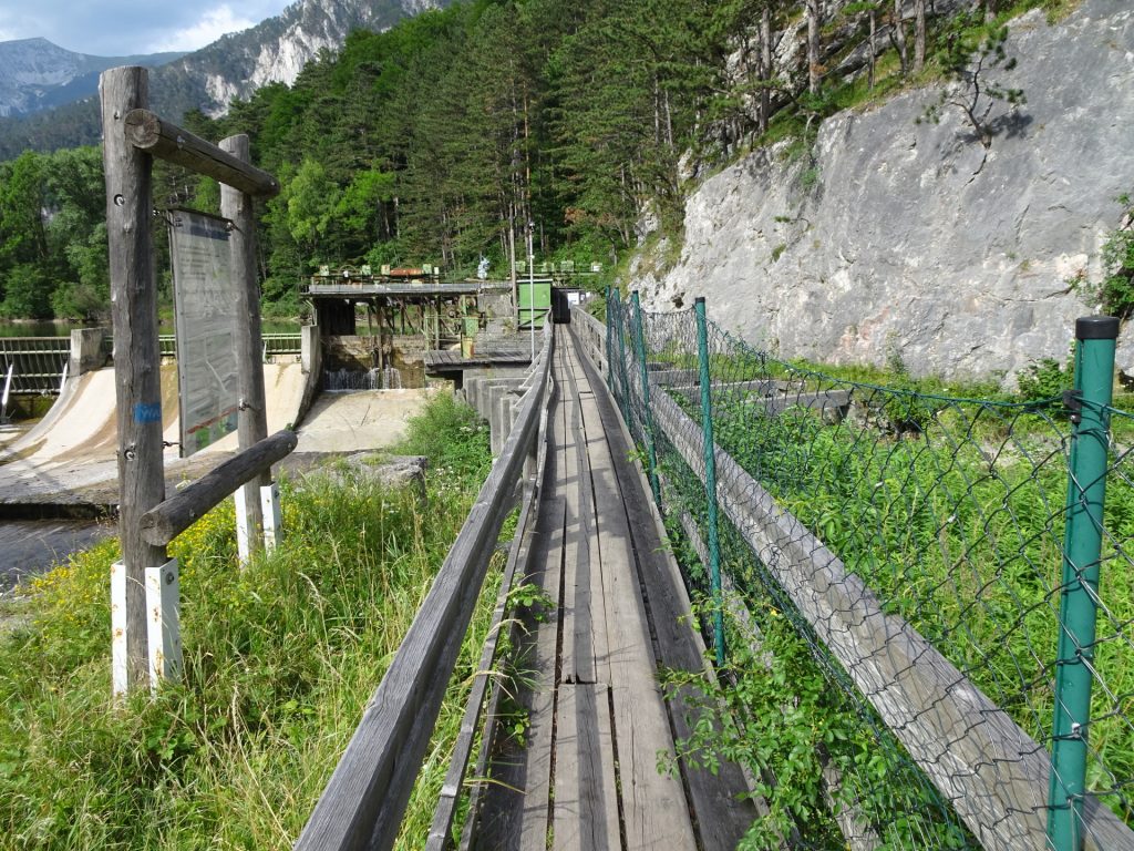 At the first meters of "Wasserleitungsweg"