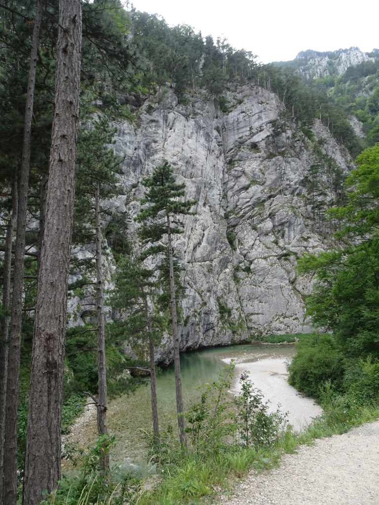 Impressive cliffs along the "Schwarza"
