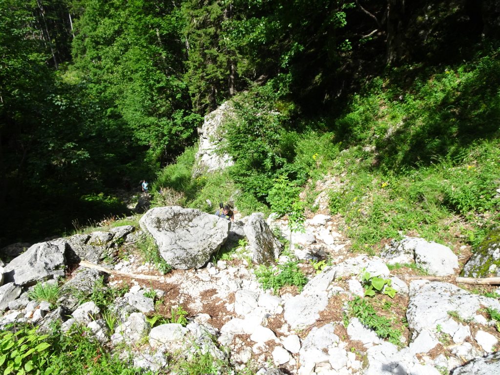 View back (hiking part between the lower and the upper part of "Weichtalklamm")