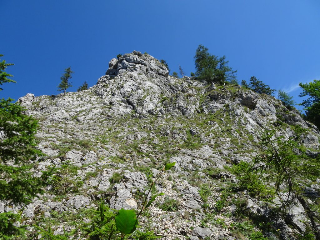 The "Turmstein" (next to "Kienthalerhütte")