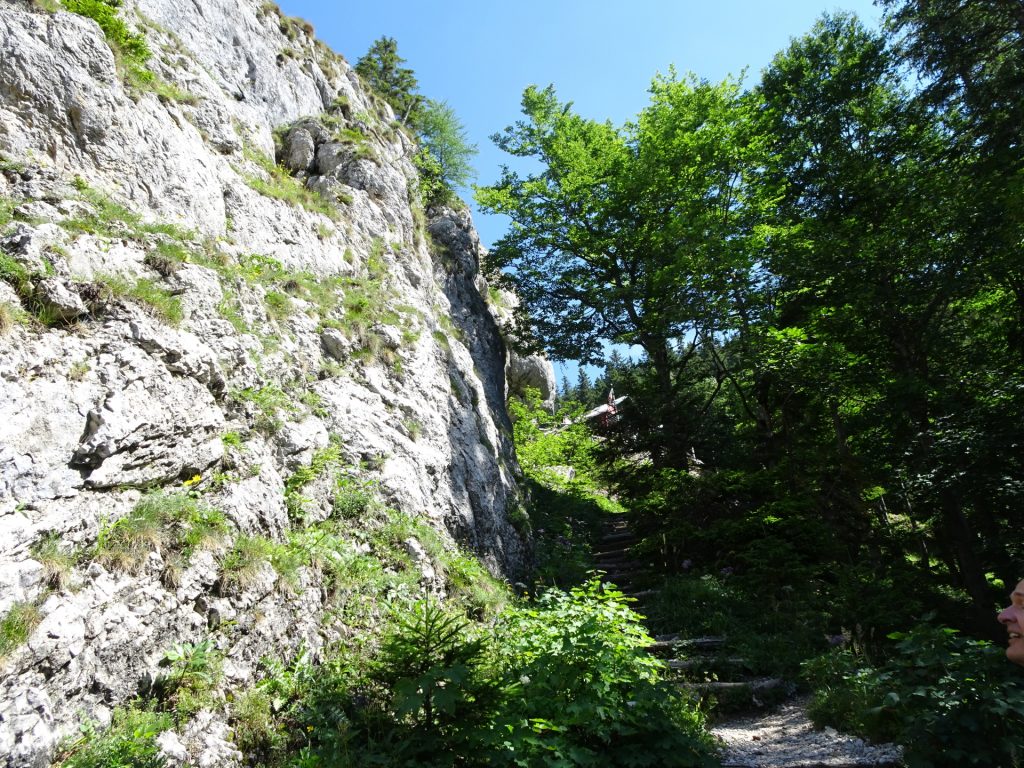 Hiking along the "Turmstein" towards the already visible "Kienthalerhütte"