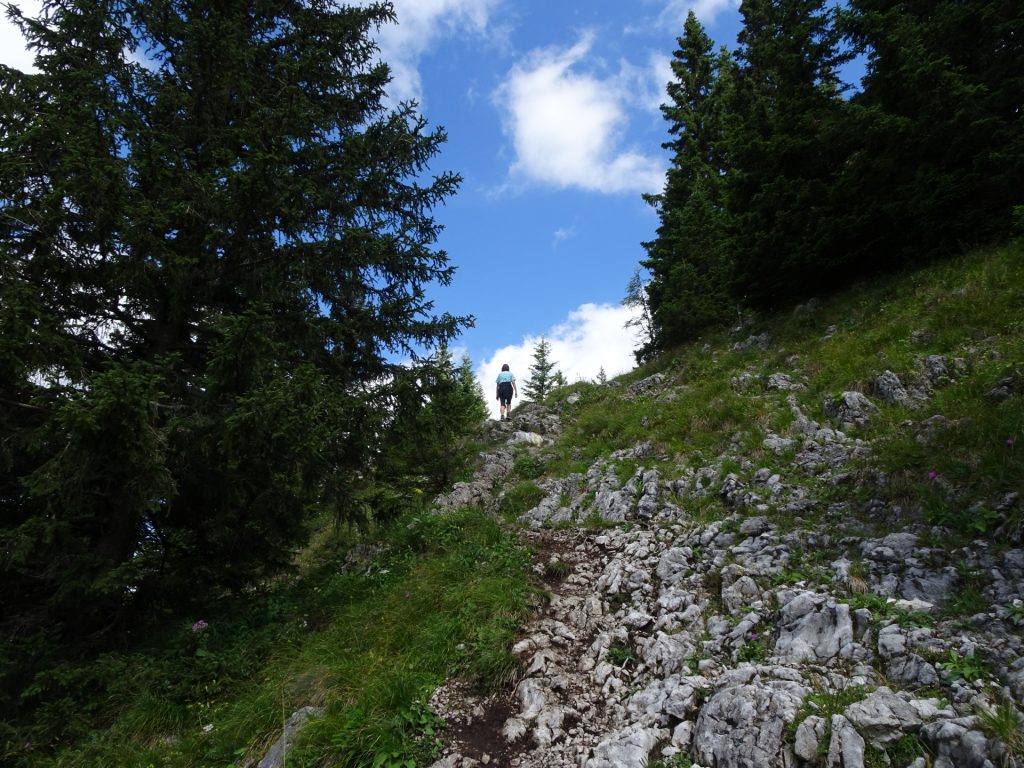 On the trail towards "Schauerstein"