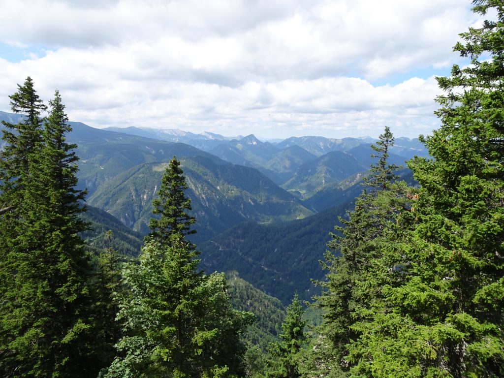 View from the trail towards "Schauerstein"