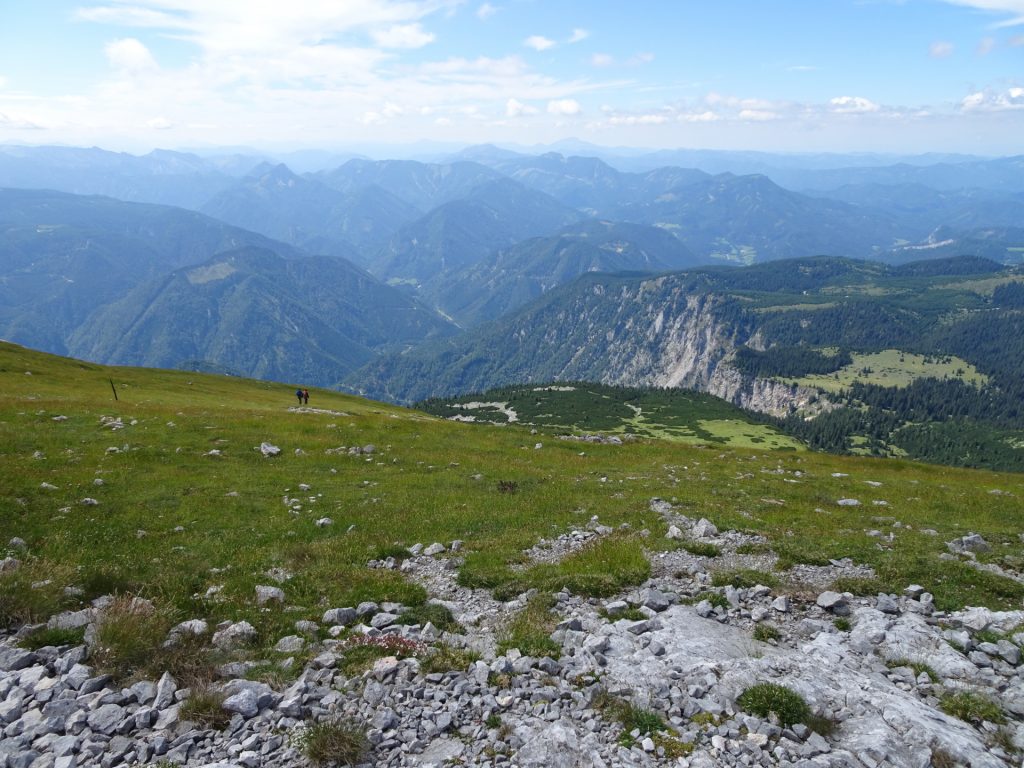 Trail back towards "Kienthalerhütte"