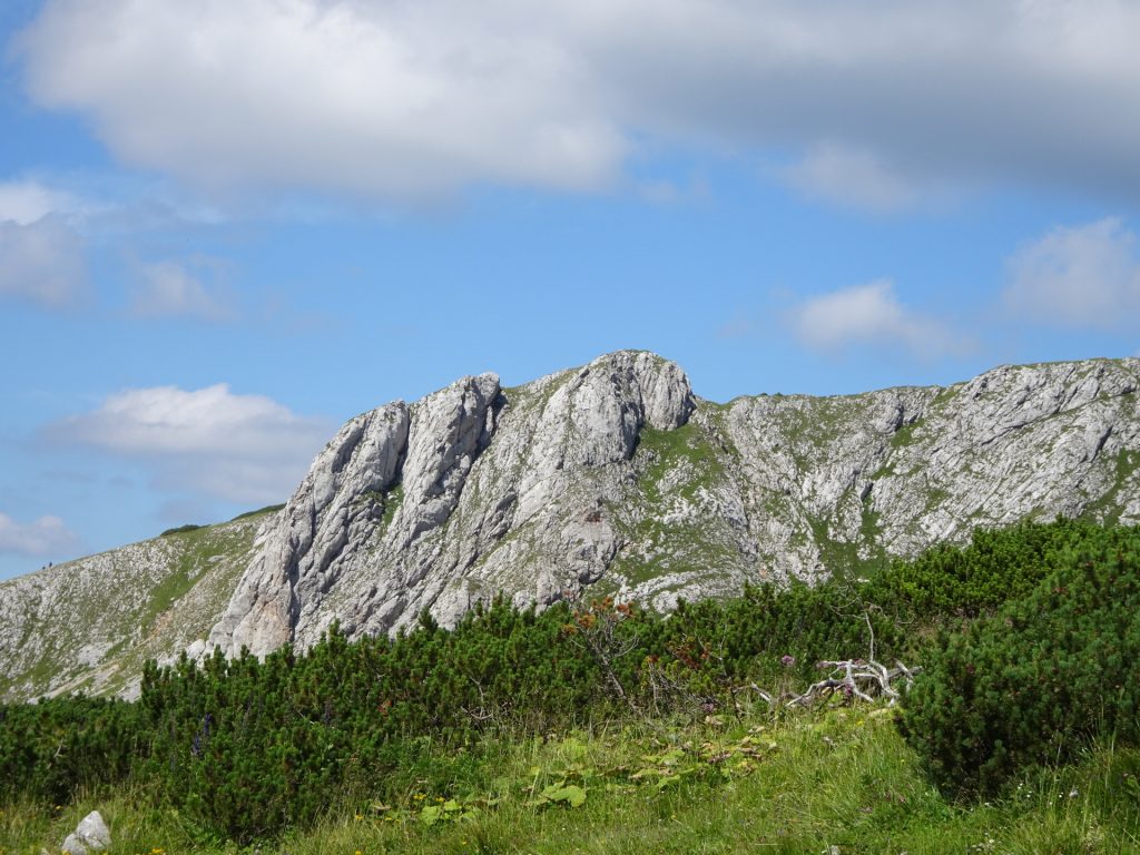 View from the trail back towards "Kienthalerhütte"