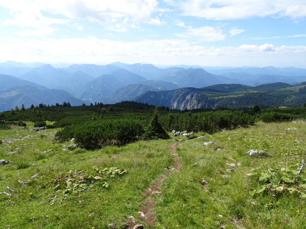 On the trail back to "Kienthalerhütte"