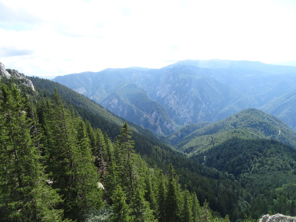View from the trail towards "Kienthalerhütte"