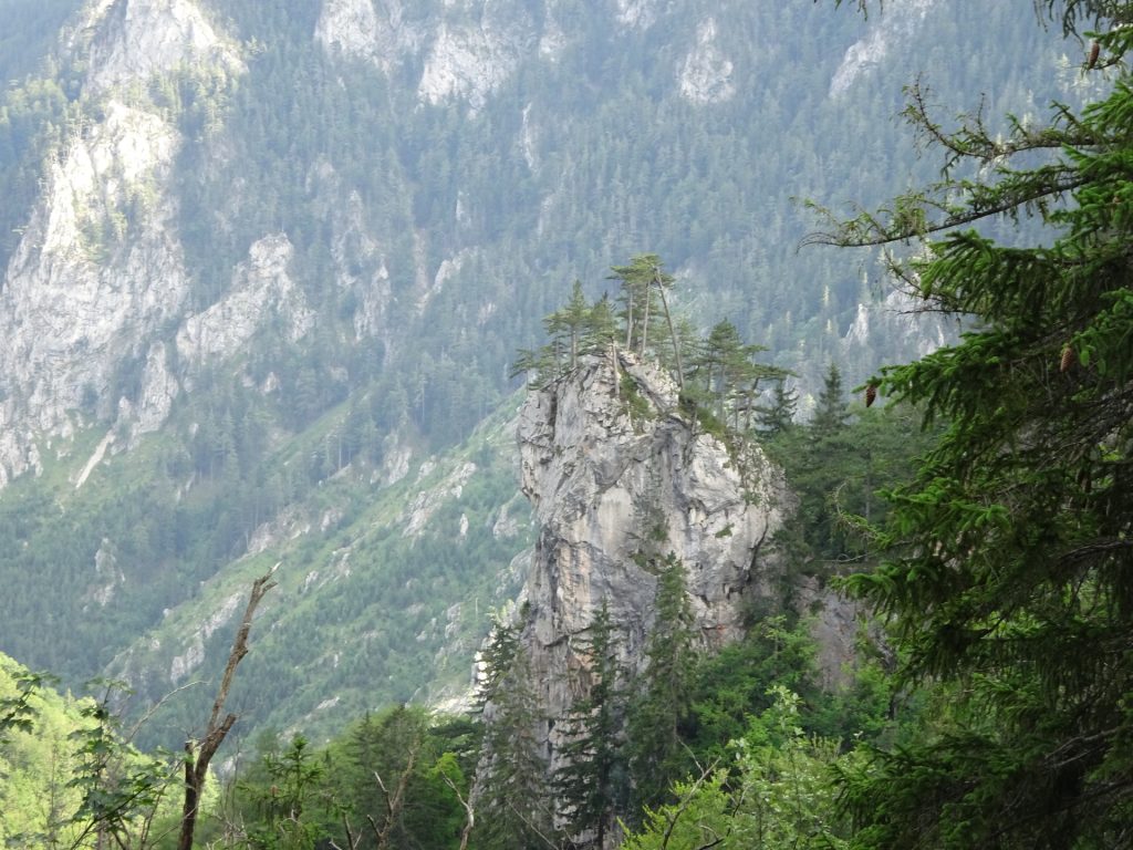 View from the trail back towards "Weichtalhaus"