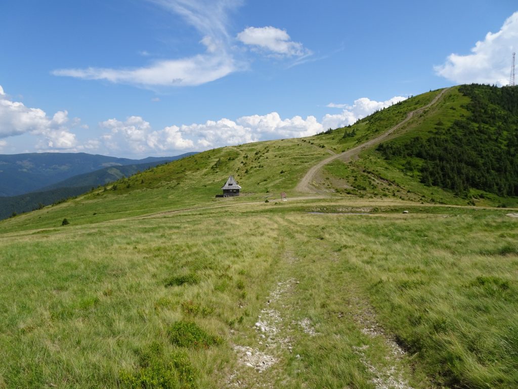 Approaching the "Refugiul Montan Lucaciasa"