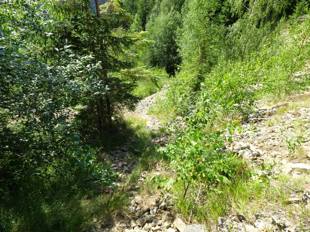 Trail to the active mine