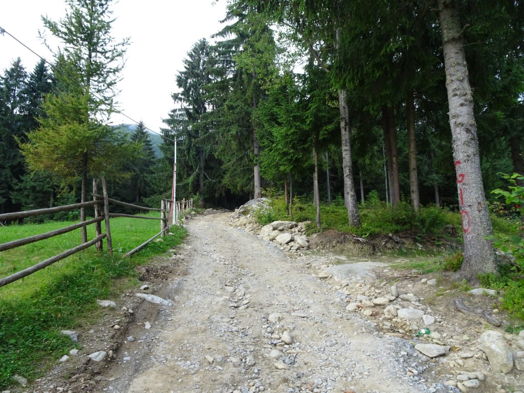 Following the dirt road upwards