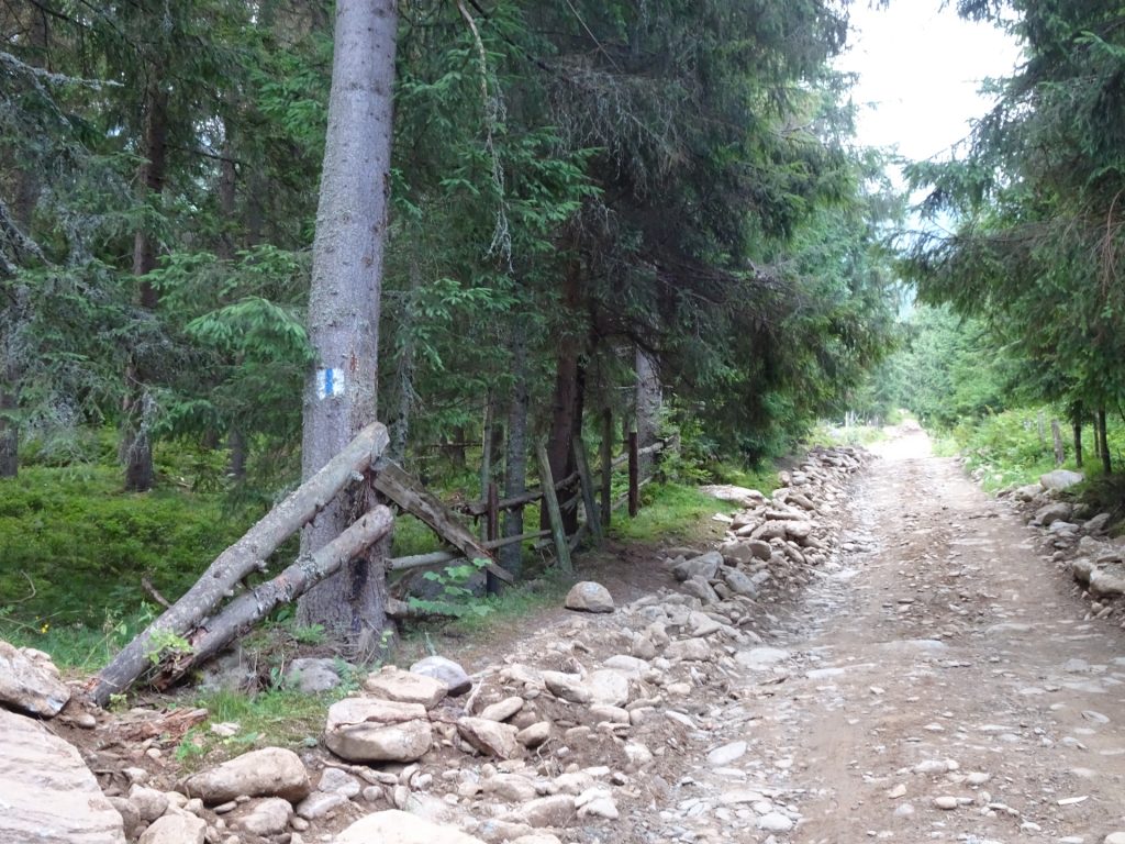 Following the white-blue-white marked road/trail