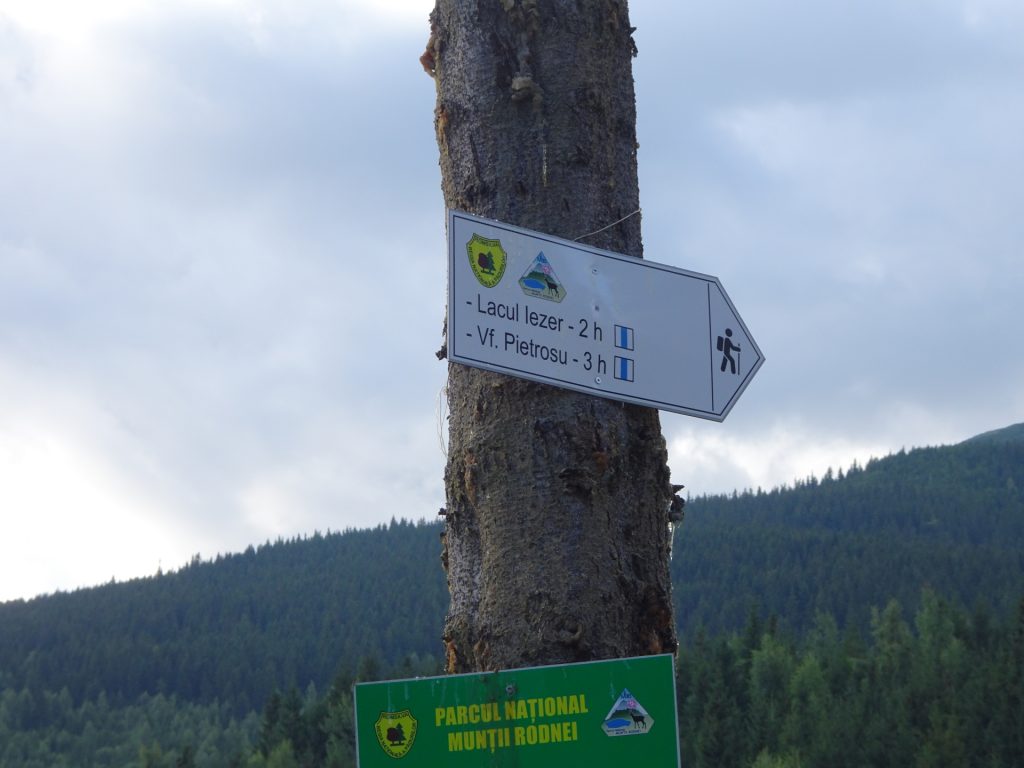 Follow the white-blue-white marked trail towards &Iezer" and "Pietrosu"