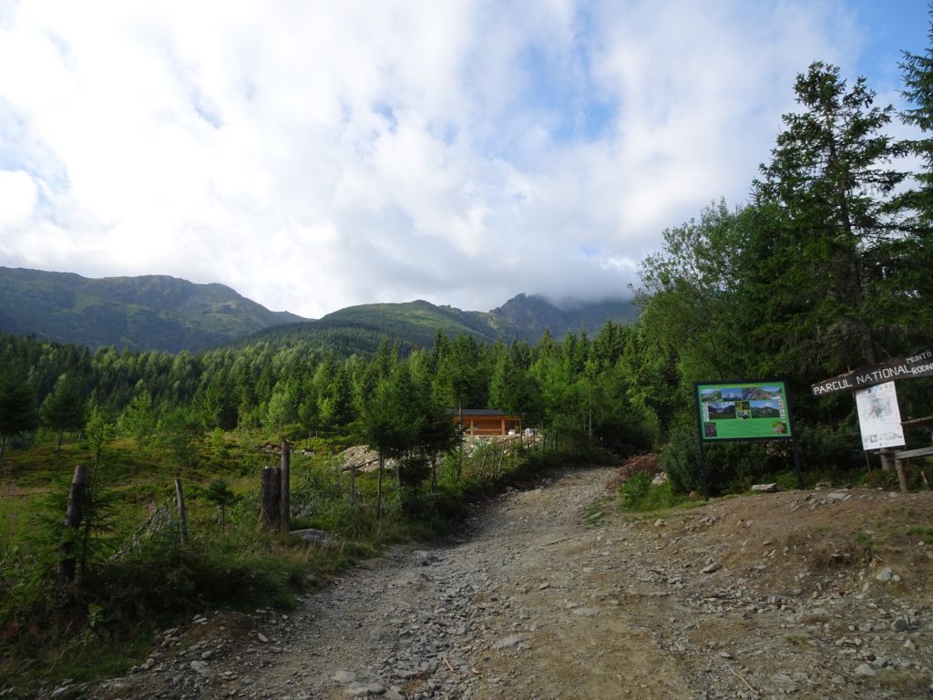 Following the road through the national park