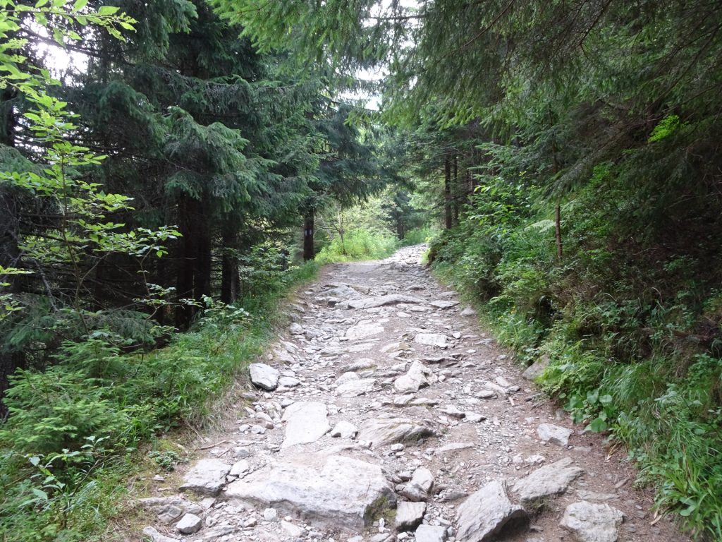 Following the road upwards