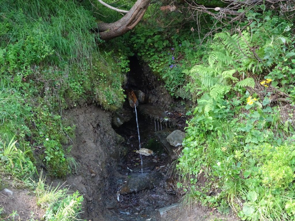 Drink water source on the trail