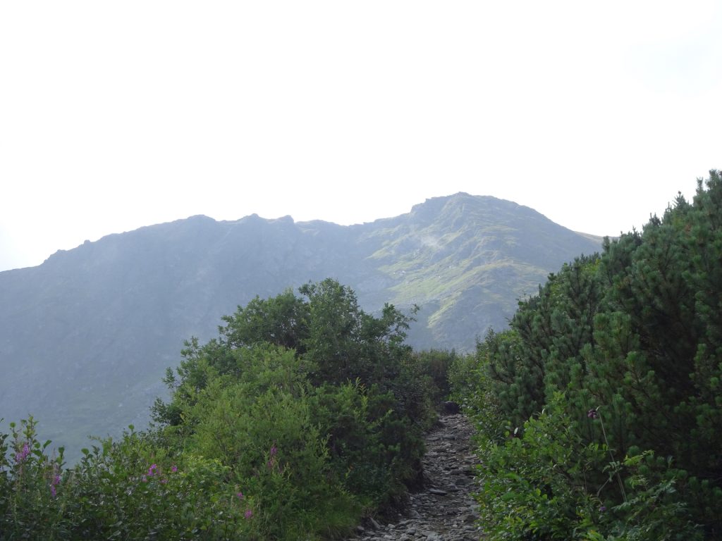 Following the trail upwards