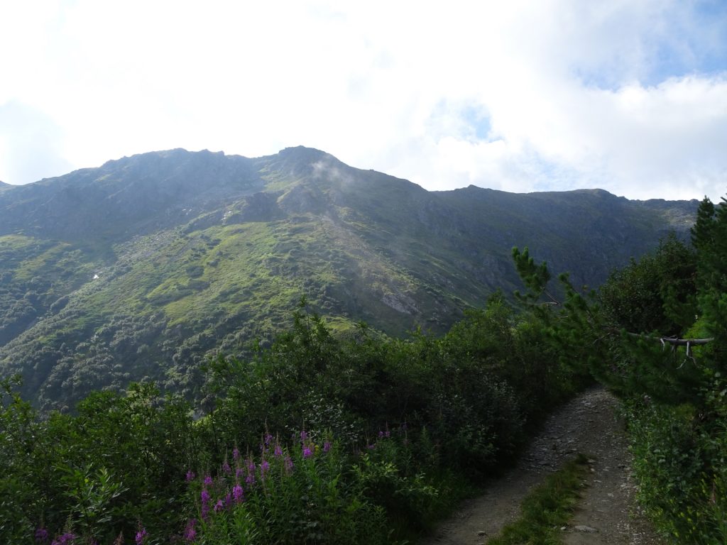 View from the trail