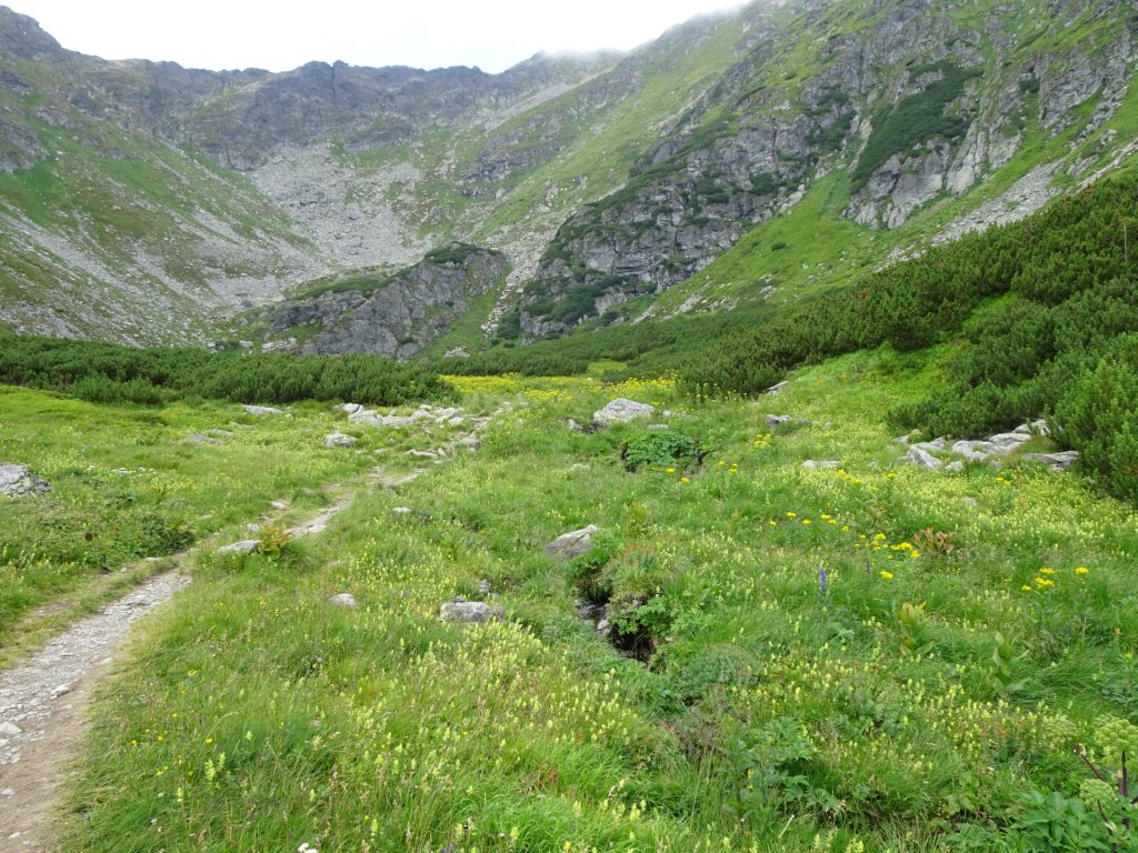 Following the trail towards the lake
