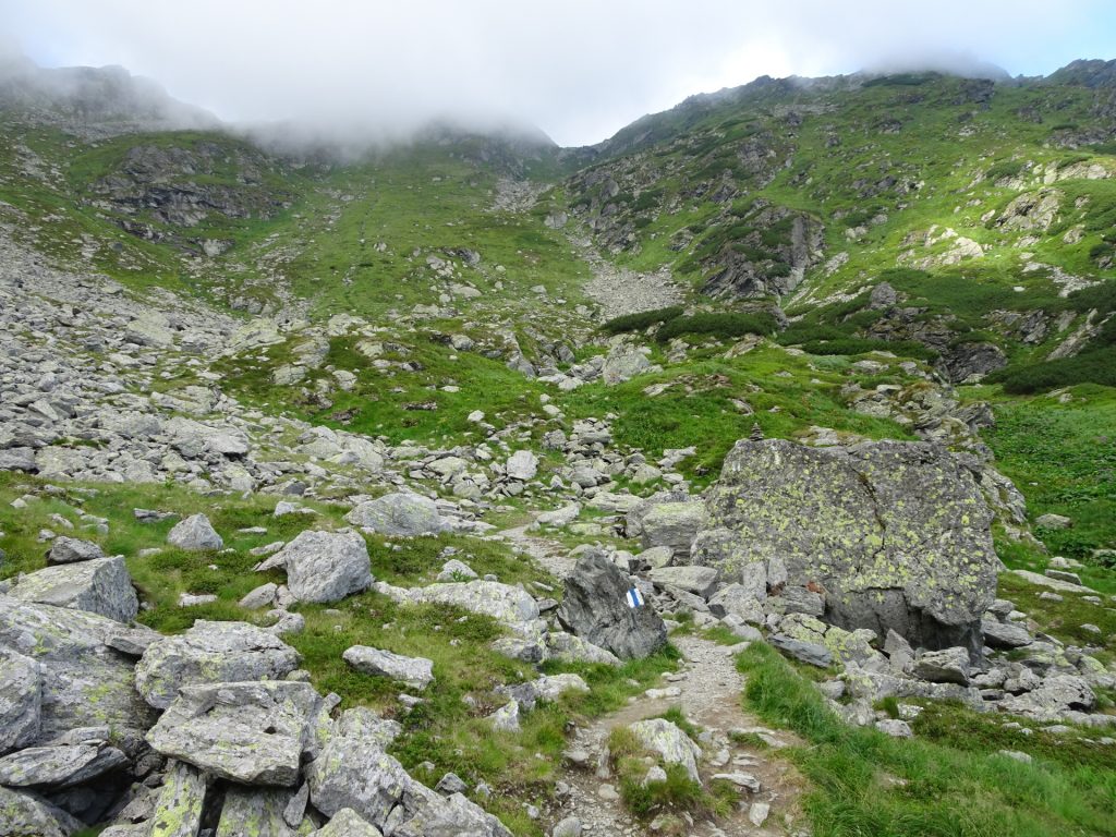Follow the white-blue-white trail up