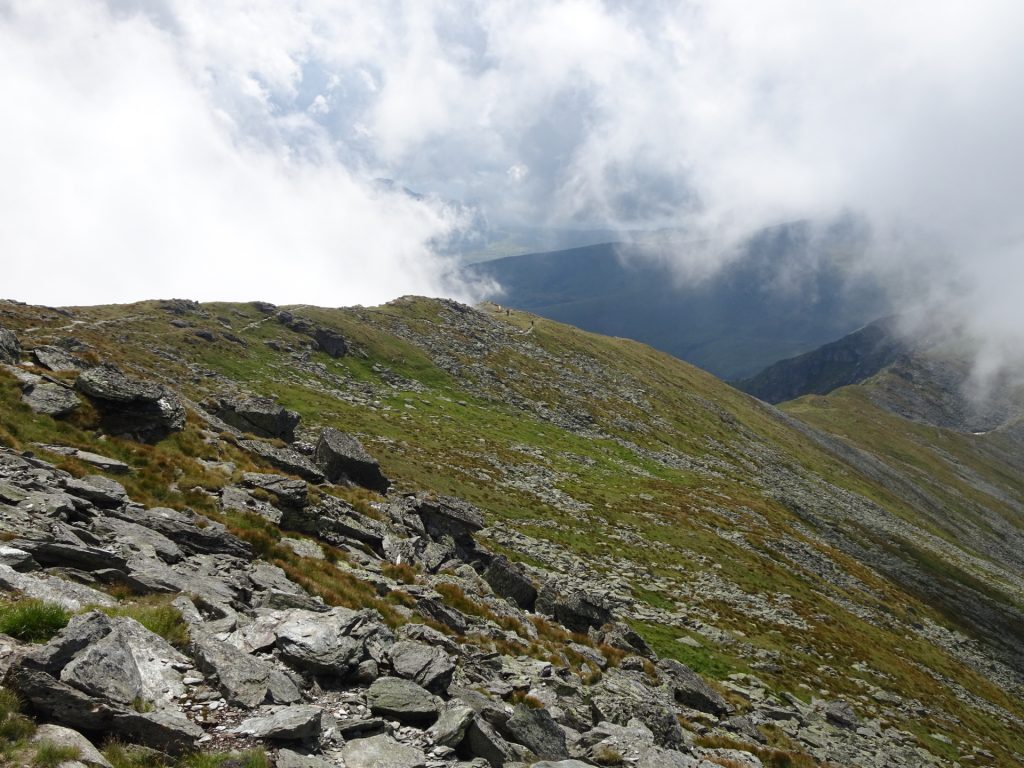 View back on the trail from the saddle
