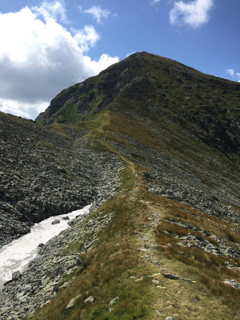 On the trail towards "Vârful Buhăesc"