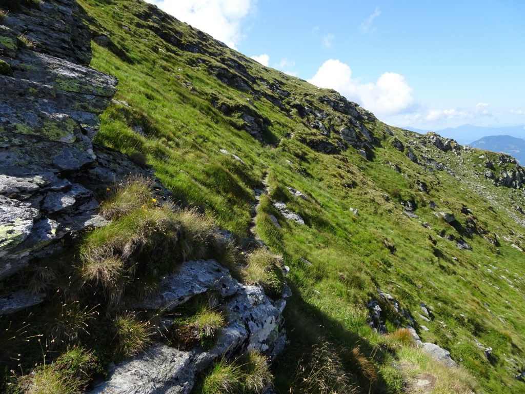 Trail around "Vârful Buhăesc"