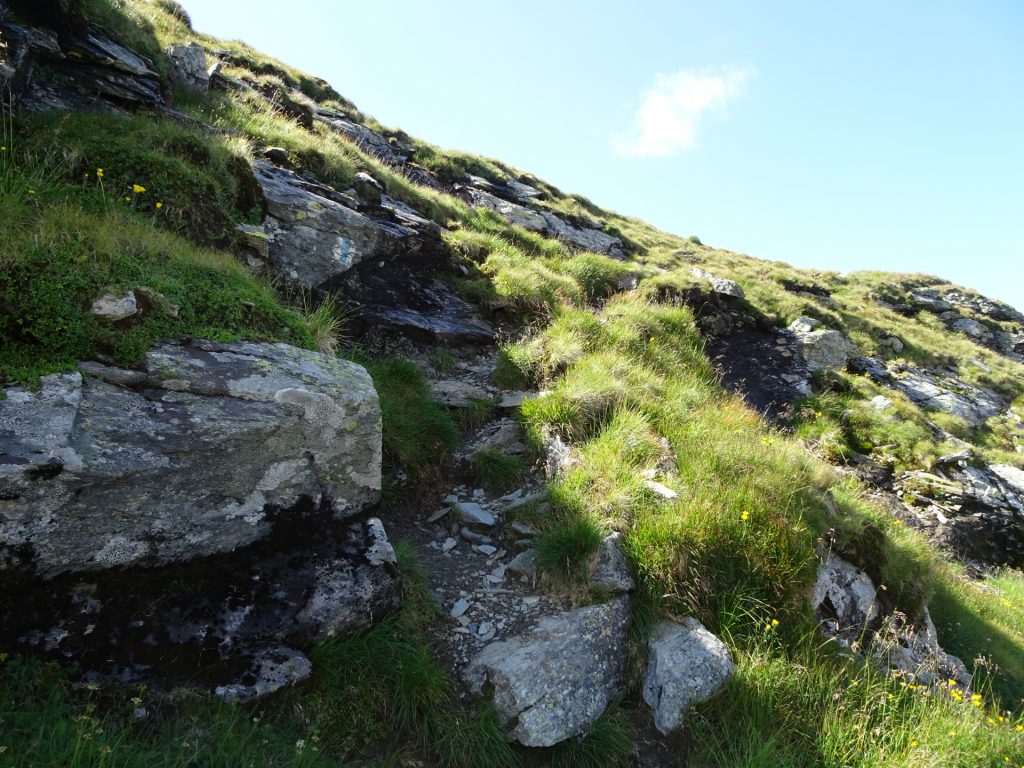 Trail up to "Vârful Buhăesc"