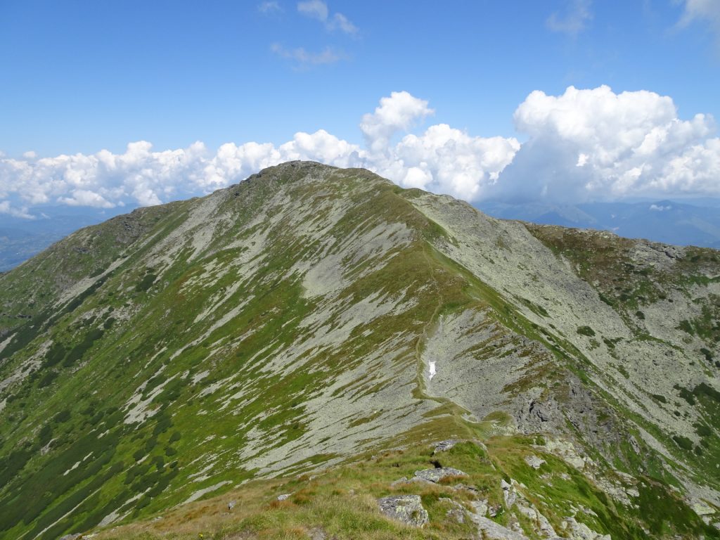 "Pietrosul Rodnei" seen from "Vârful Buhăesc Mare"