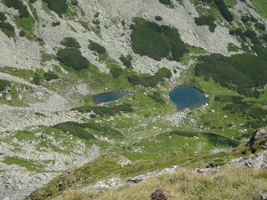 View down from "Vârful Buhăesc Mare"